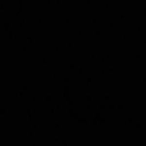 Meet your Posher, Jesse